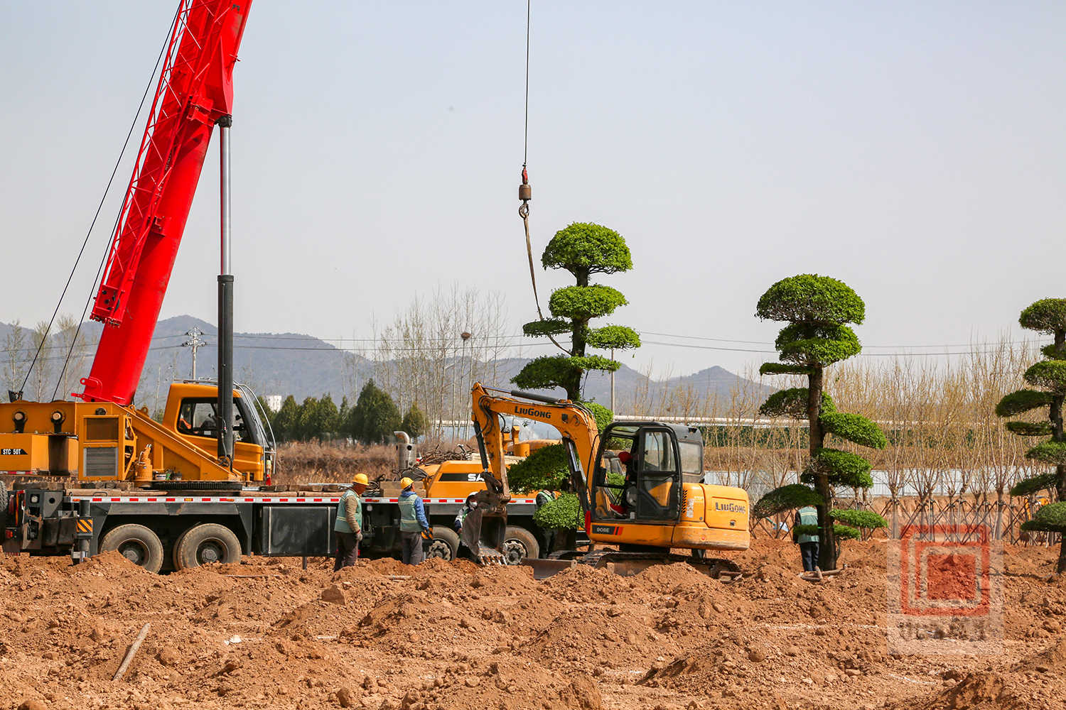 我市太行花苗木花卉基地项目加快建设 力争6月下旬基本完工